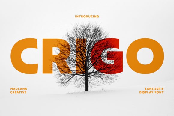 Crigo: A Bold Display Font That Elevates Digital Branding