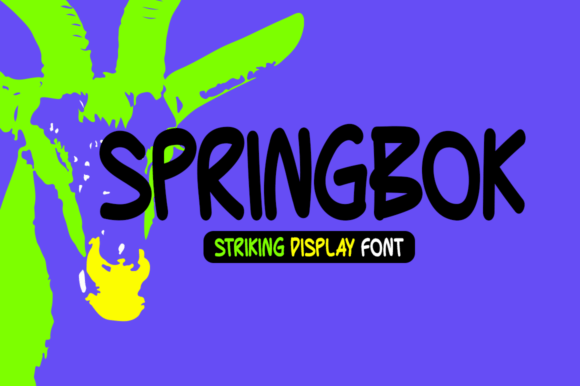 Springbok: A Display Font That Anchors Brand Identity